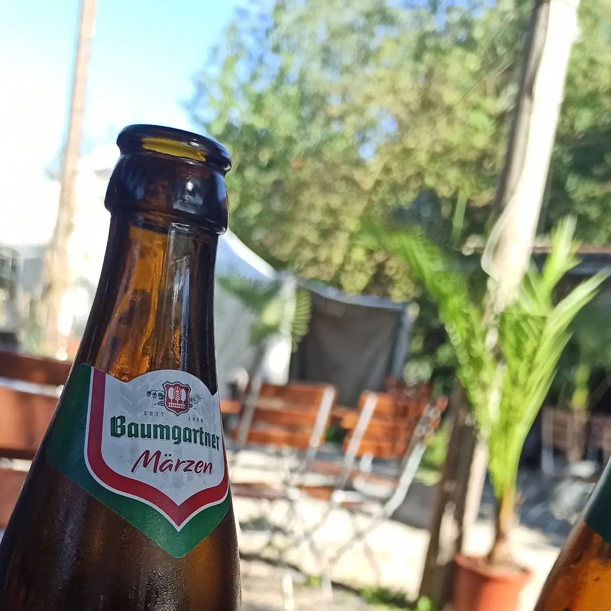 Beer