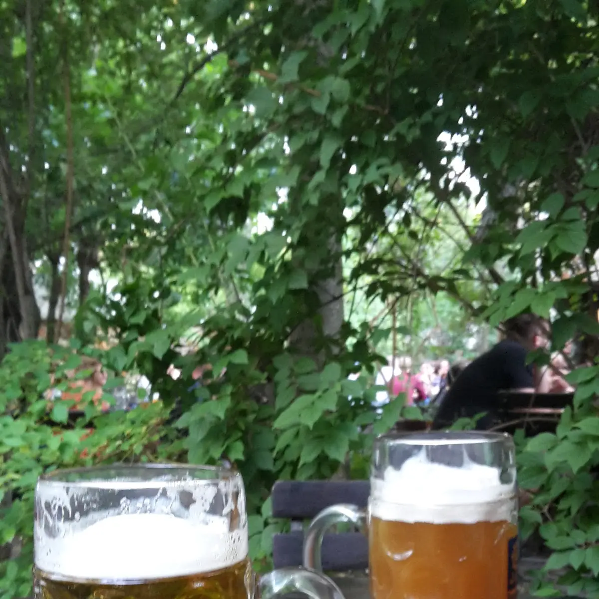 Bier
