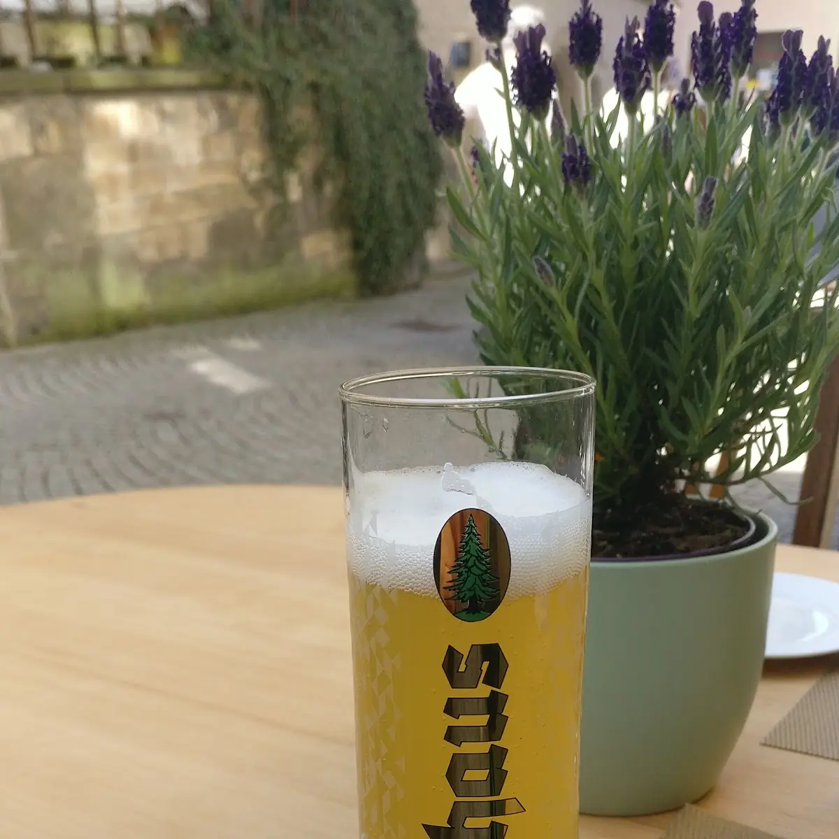 Bier