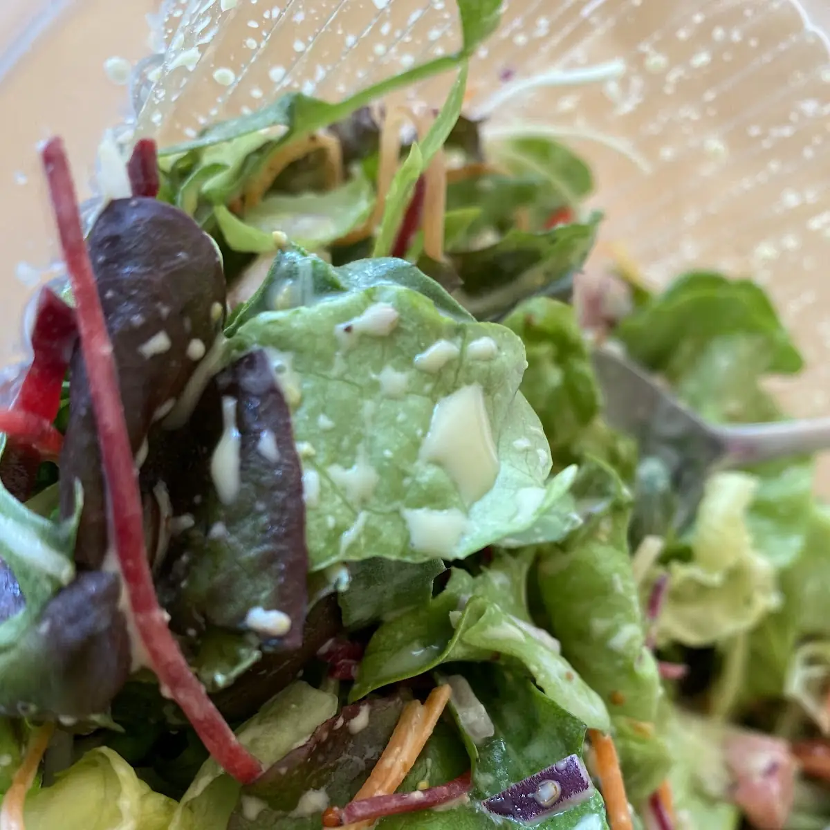 Salat Halb Halb