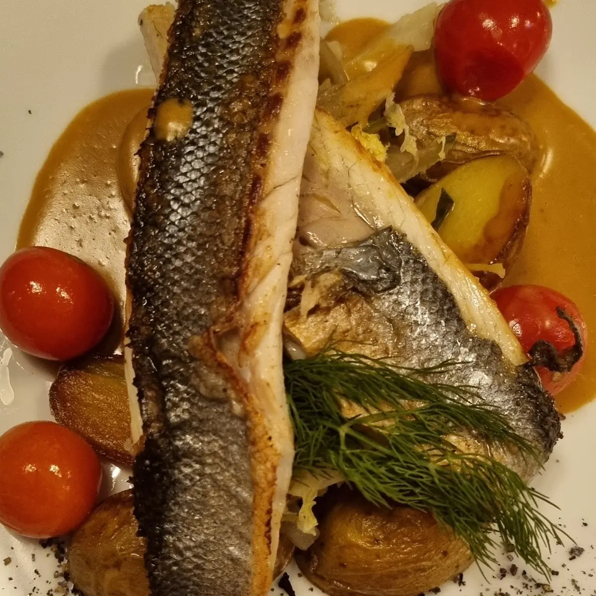 Mackerel