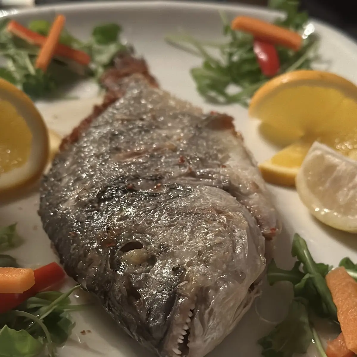 Dorade