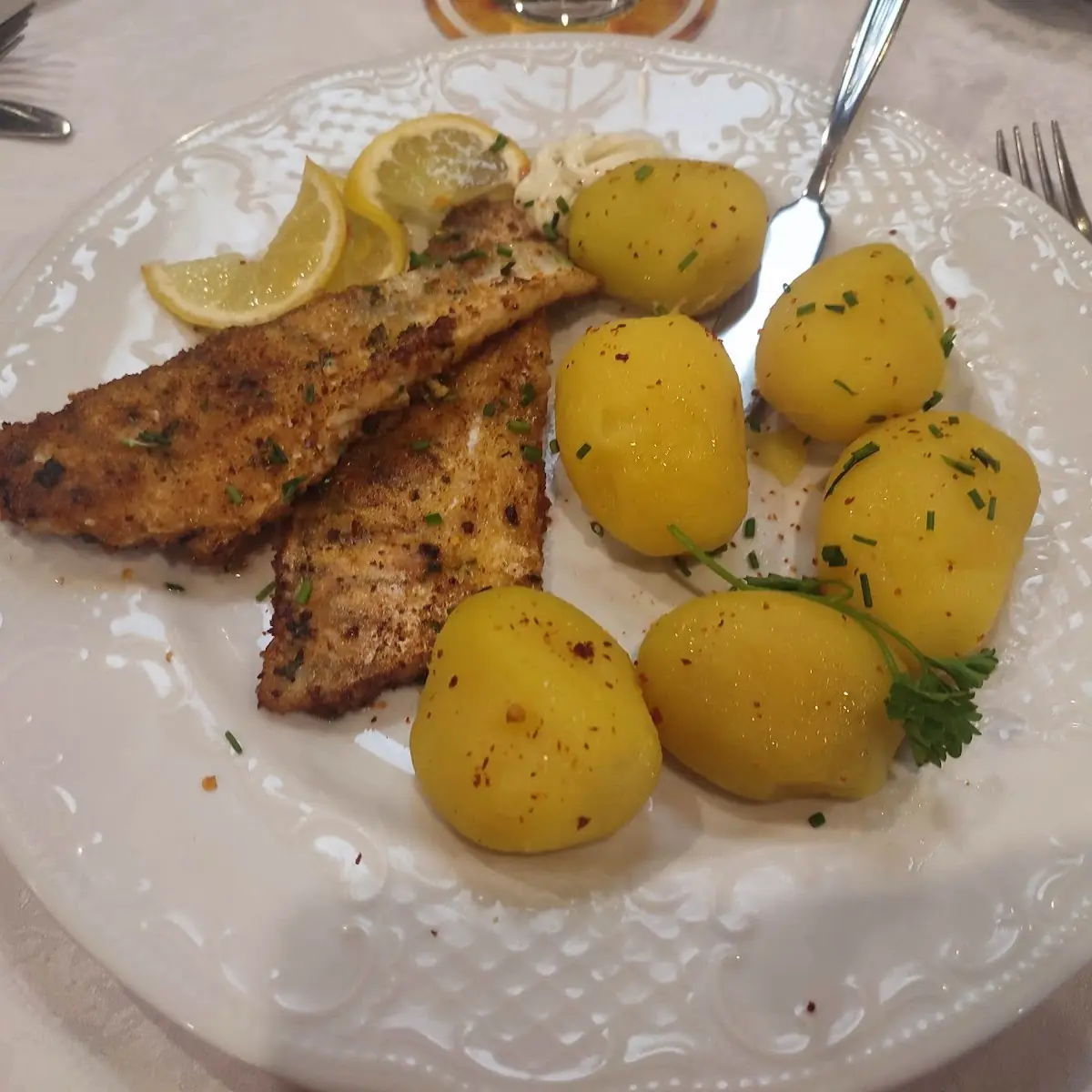 Fish