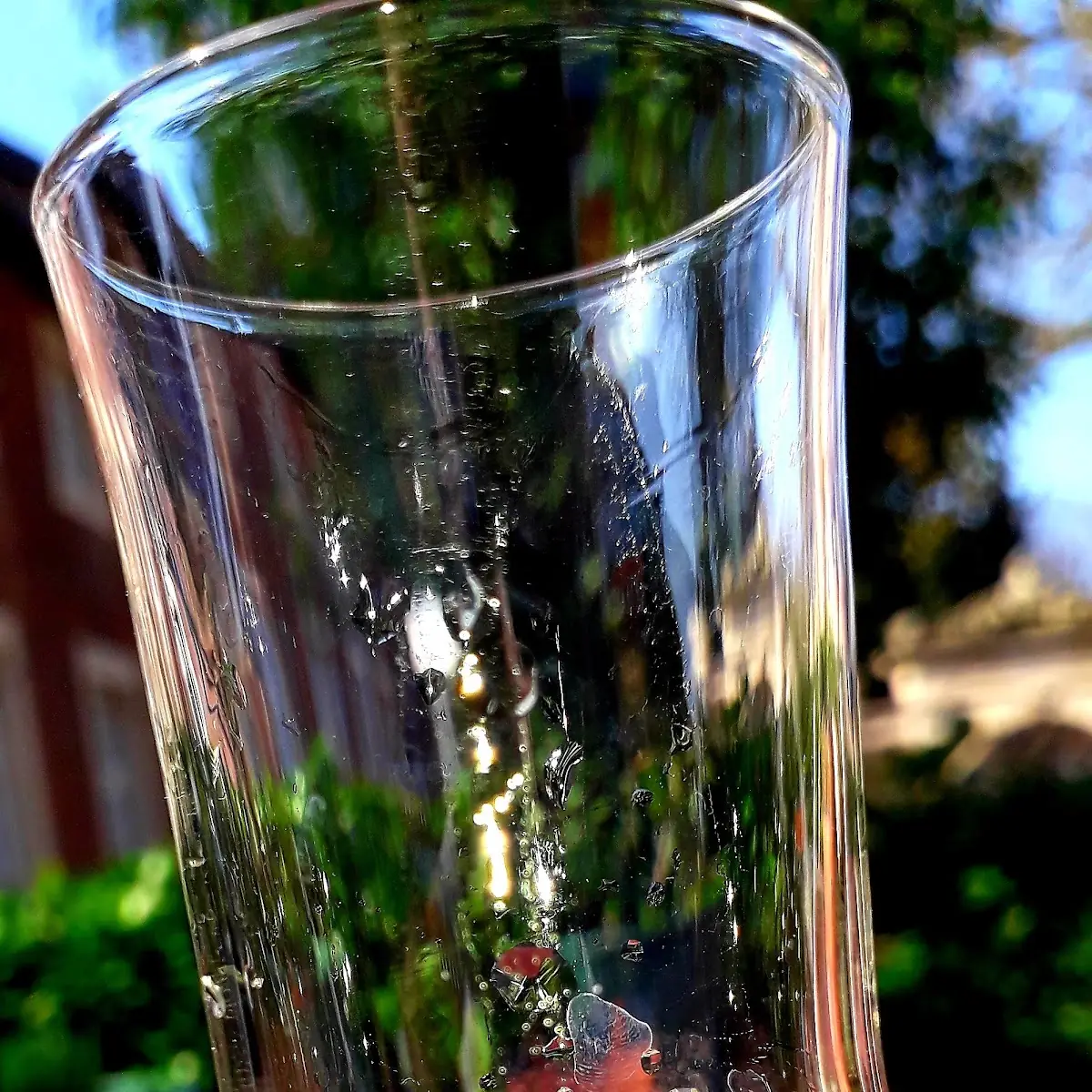 Grappa, Ristorante Bellini