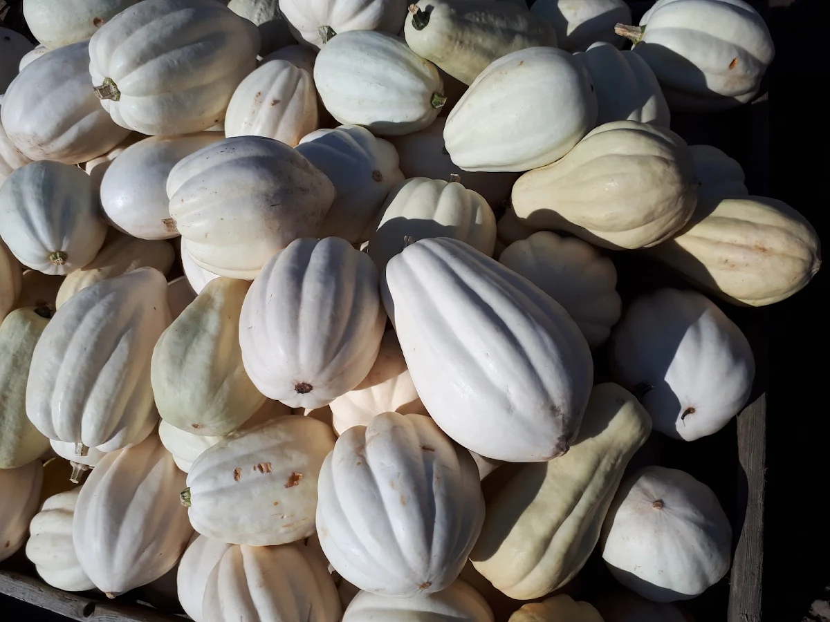 Clam, Heckelmann Familienhof - Spargel, Erdbeeren, Kürbisse, Hofcafe "Altes Zollhaus"