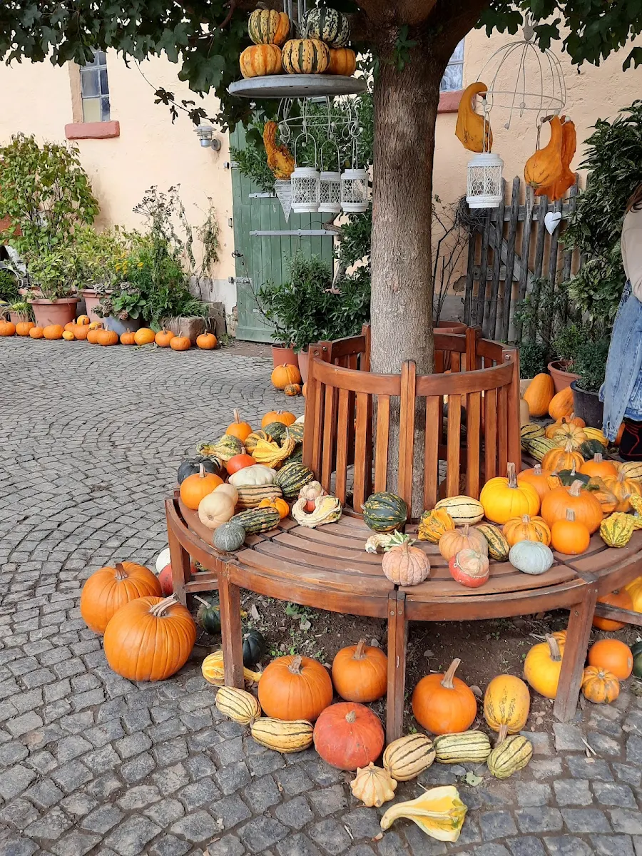 Pumpkin, Heckelmann Familienhof - Spargel, Erdbeeren, Kürbisse, Hofcafe "Altes Zollhaus"