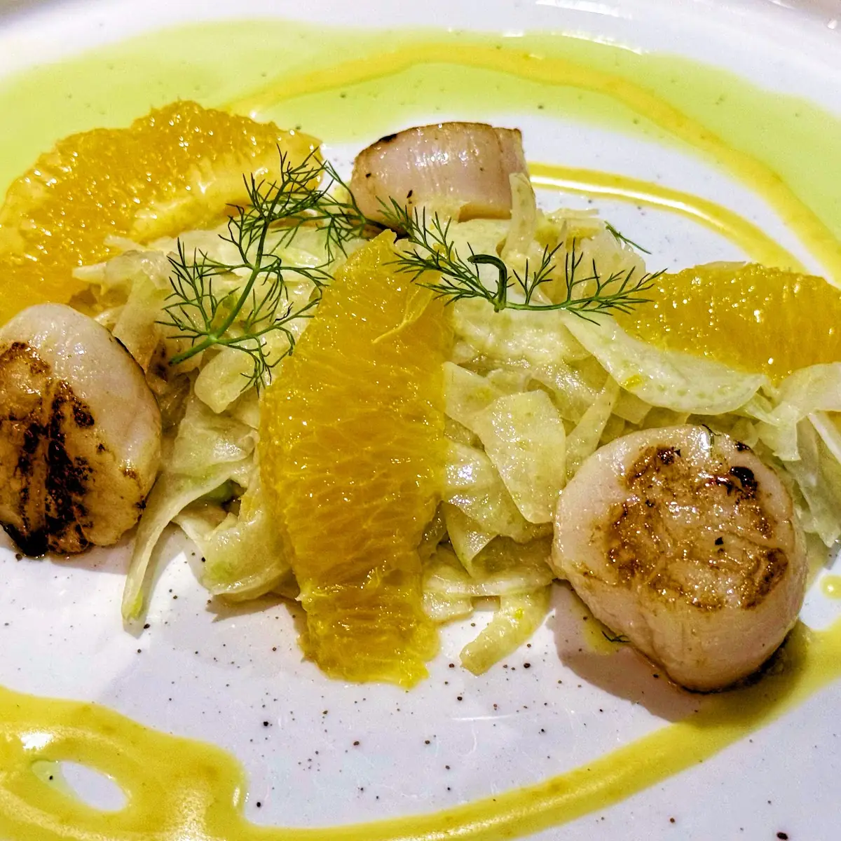 Scallops