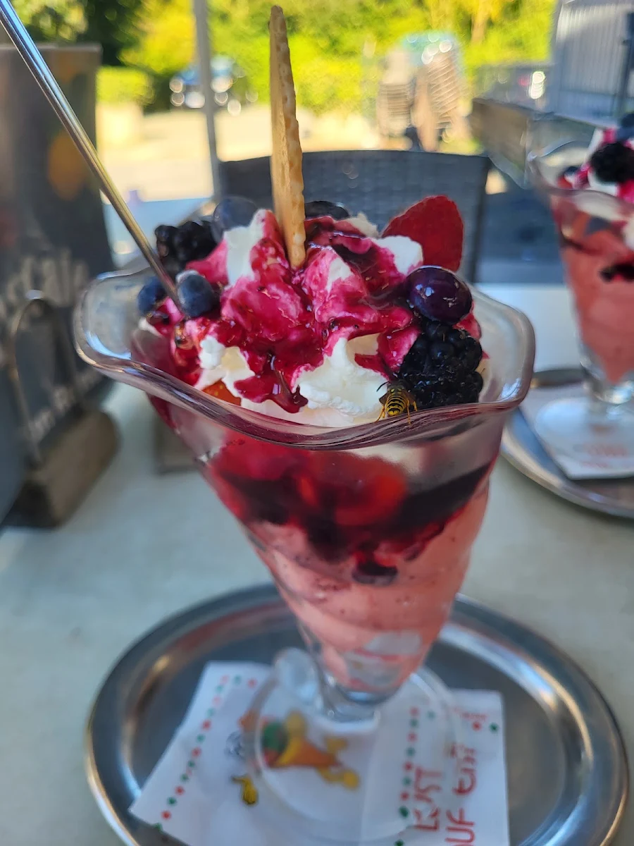 Waldfrüchtebecher