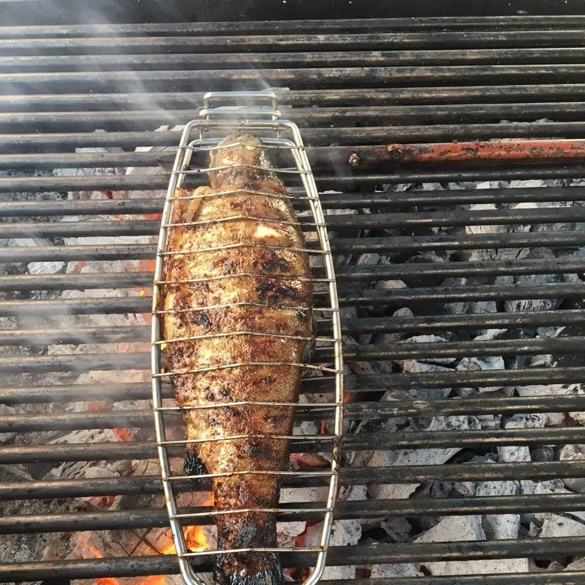Fisch