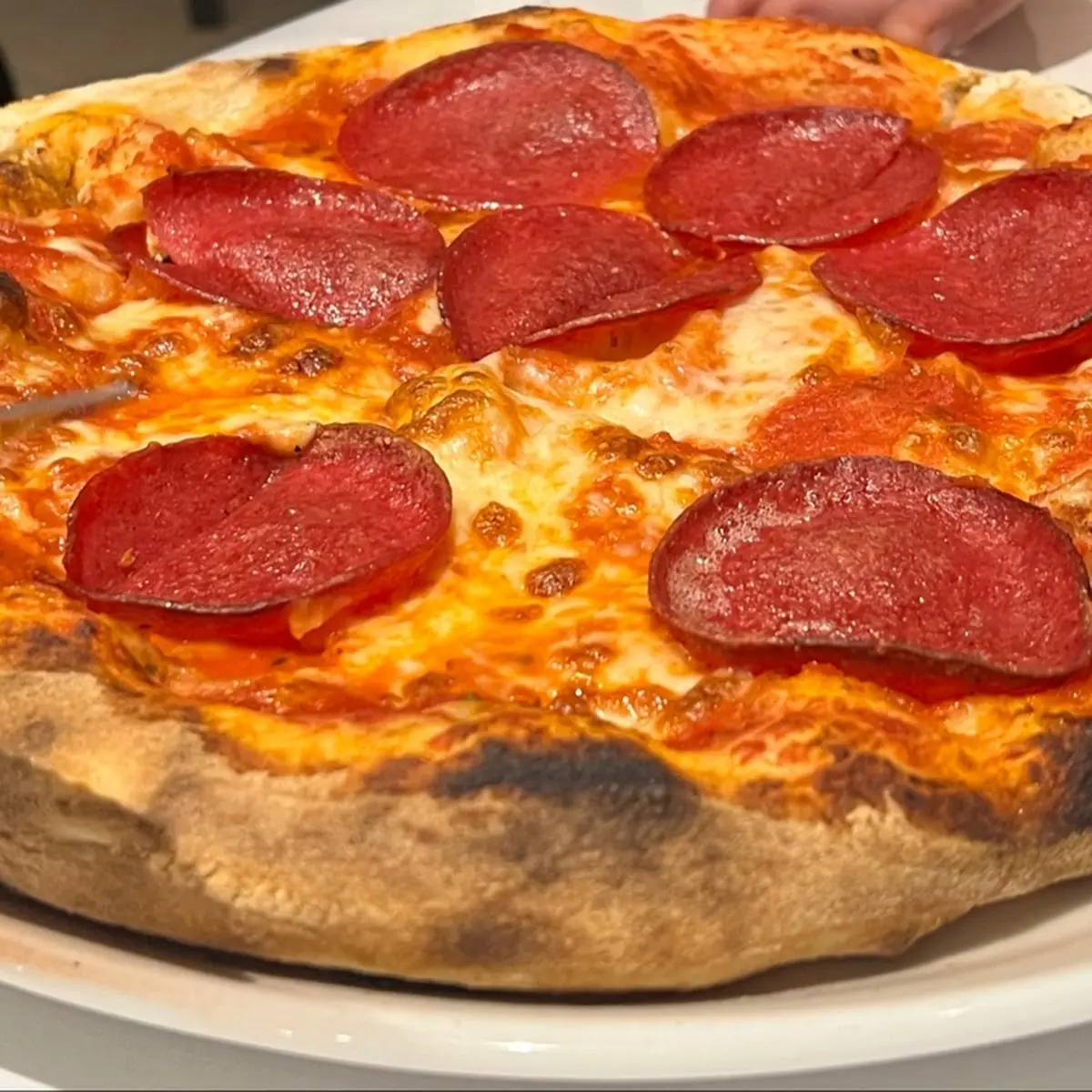 Salamipizza