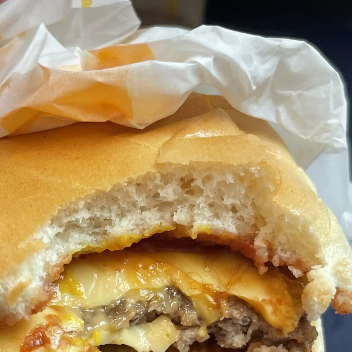 Cheeseburger Mit Haaren