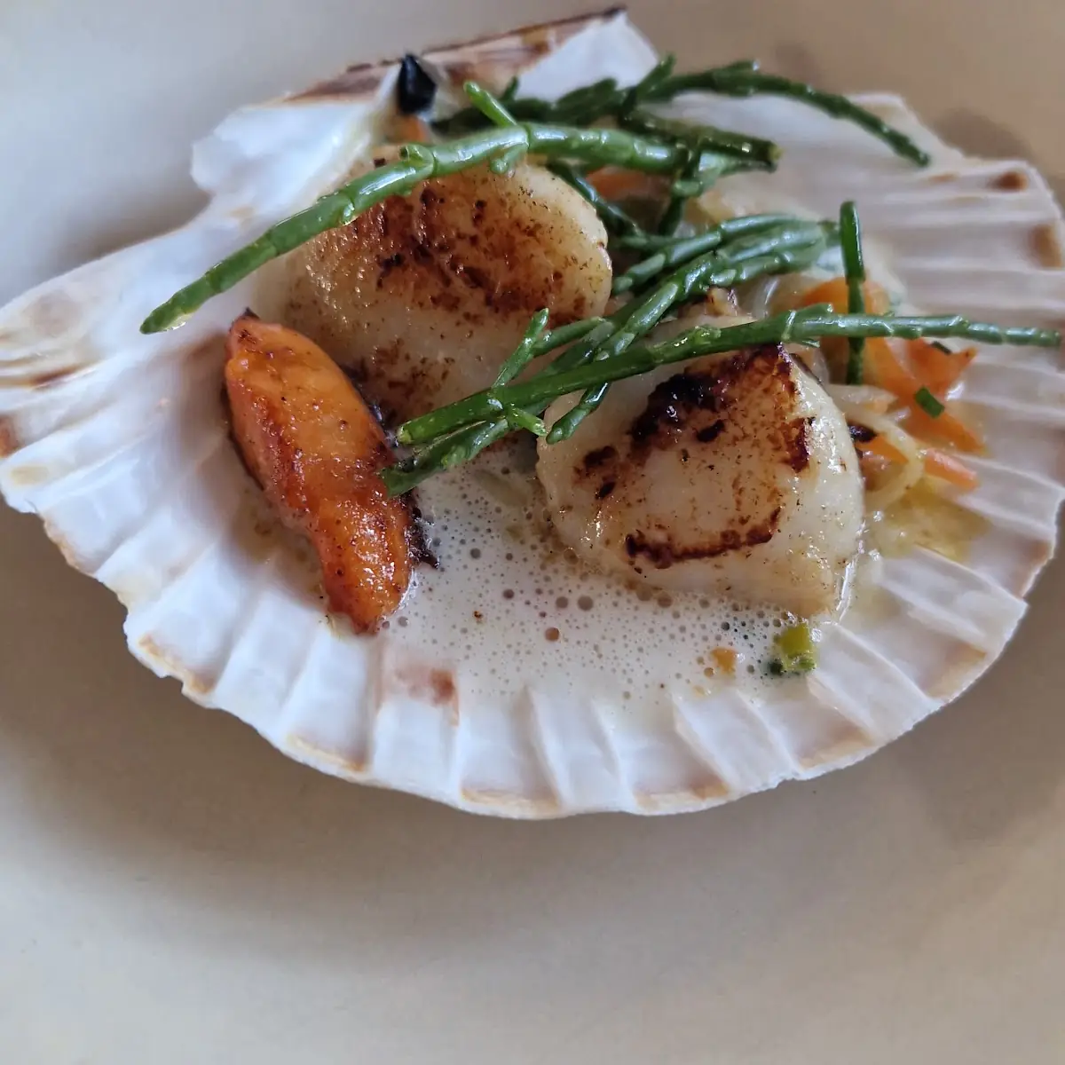 Scallops