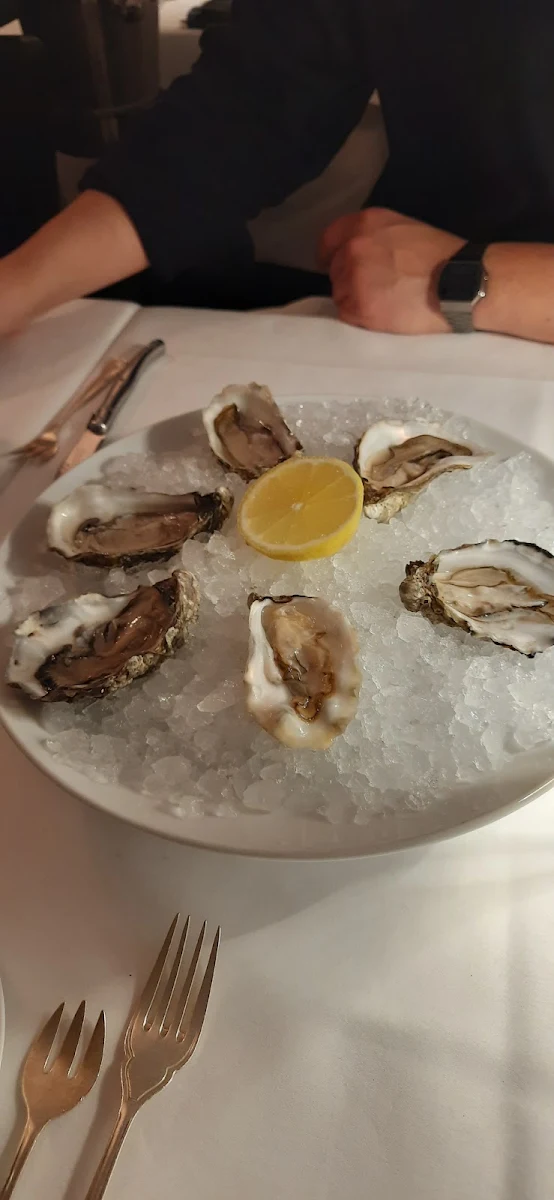 Oyster