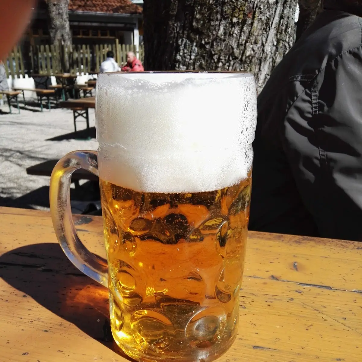 Bier