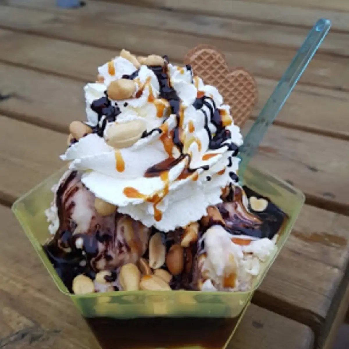 Highlights, Casa del Gelato