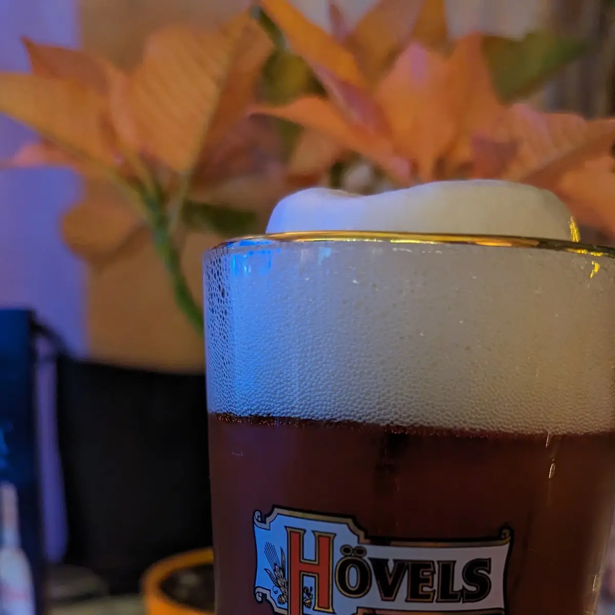 Bier