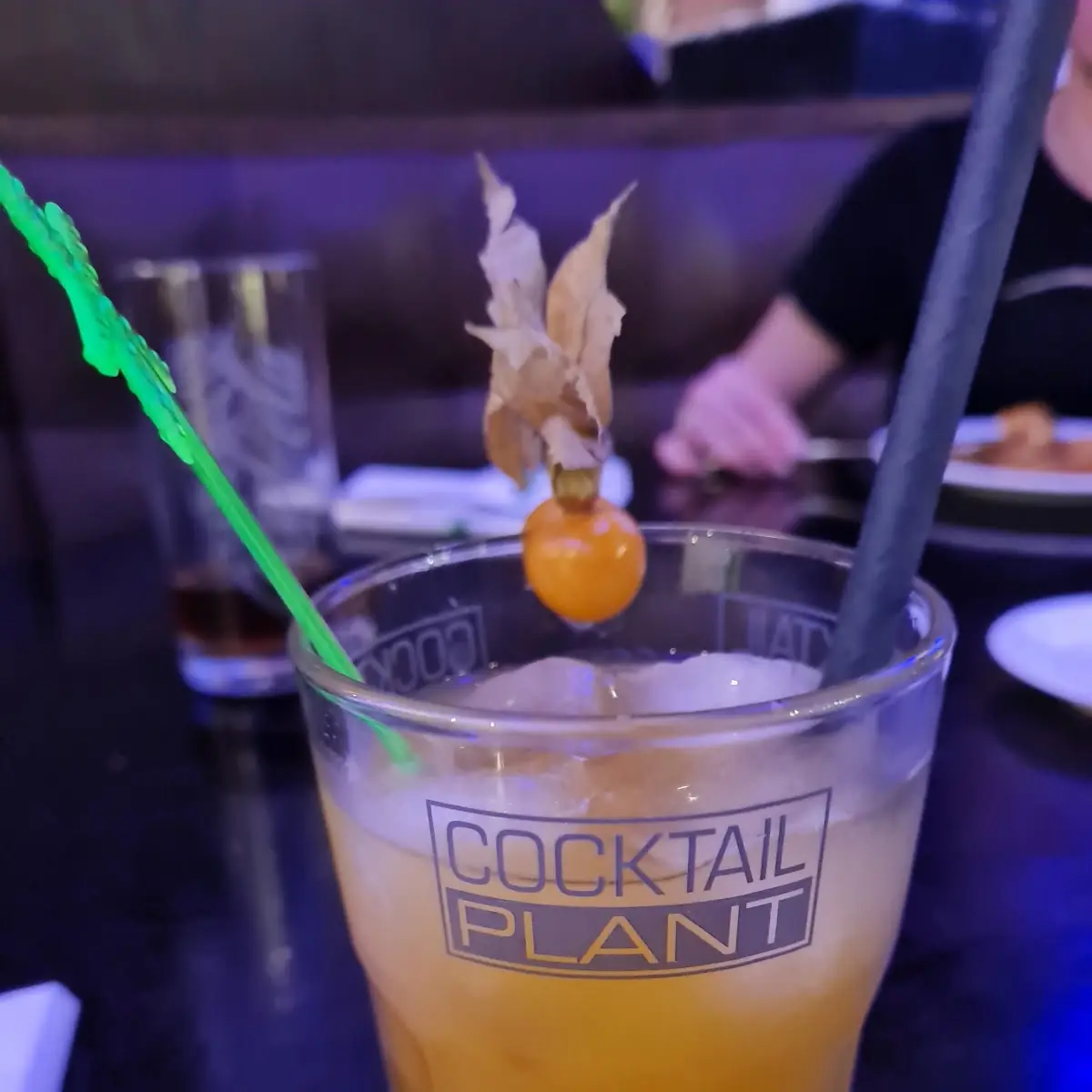 Cocktail
