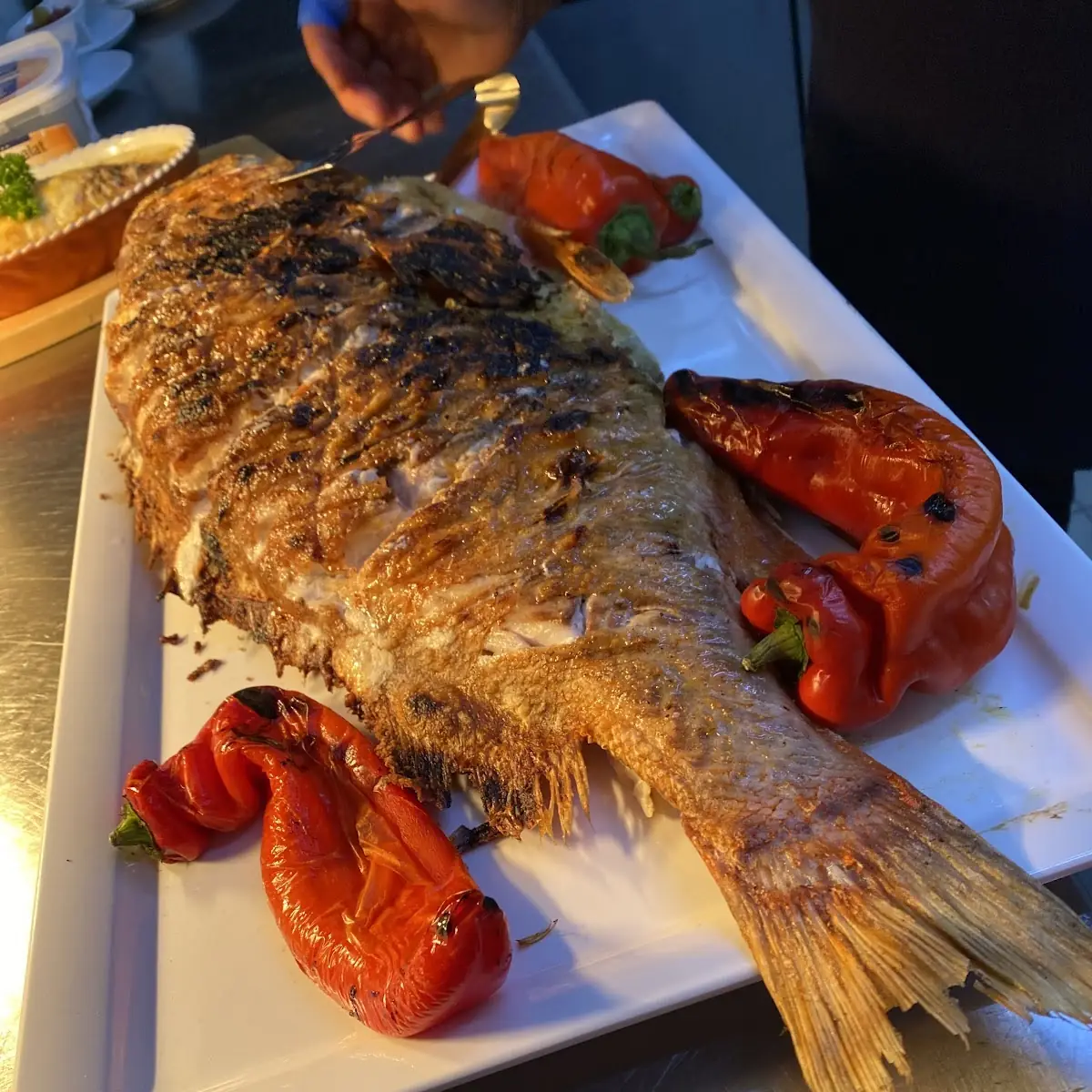 Highlights, Restaurant Platon
