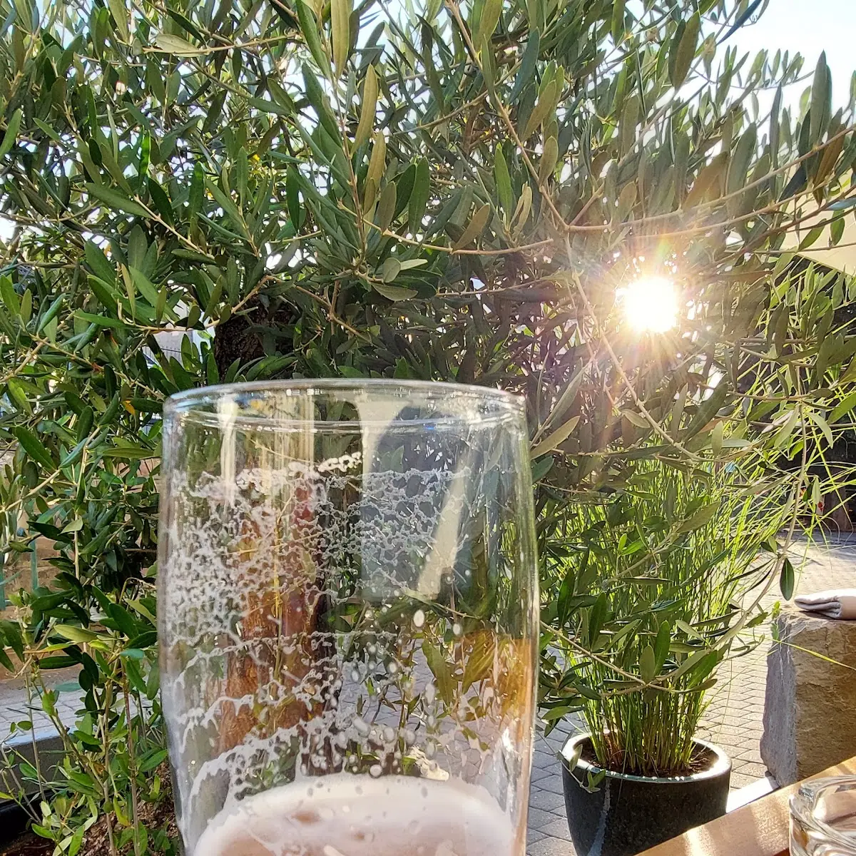 Bier