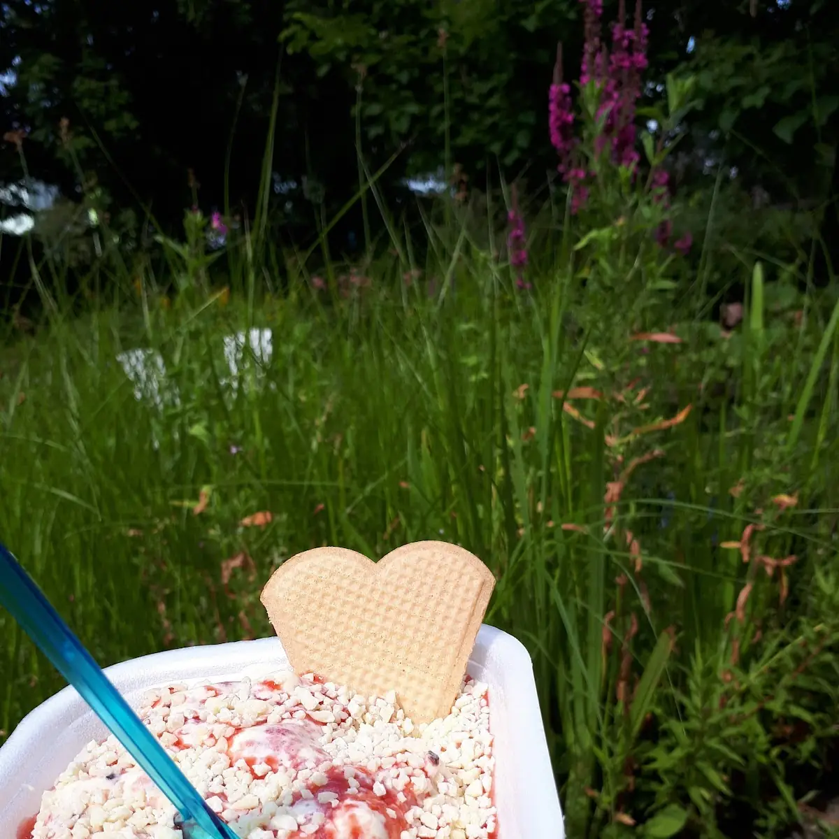 Spaghetti Eis