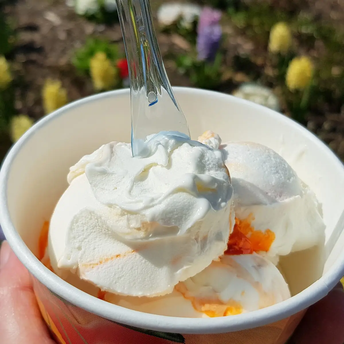 Highlights, Eiscafé Glassissimo