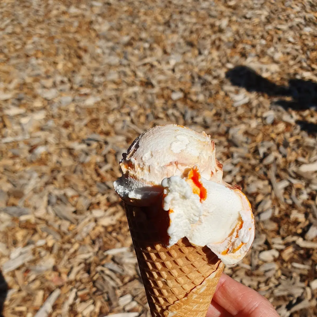 Softeis Sanddorn-quark, Eiscafé Glassissimo