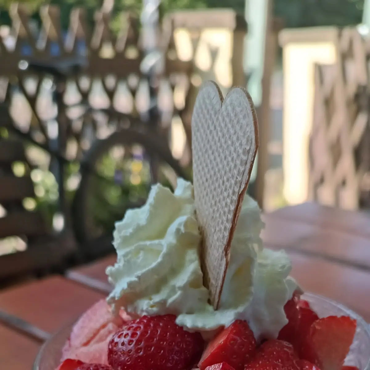 Highlight 19