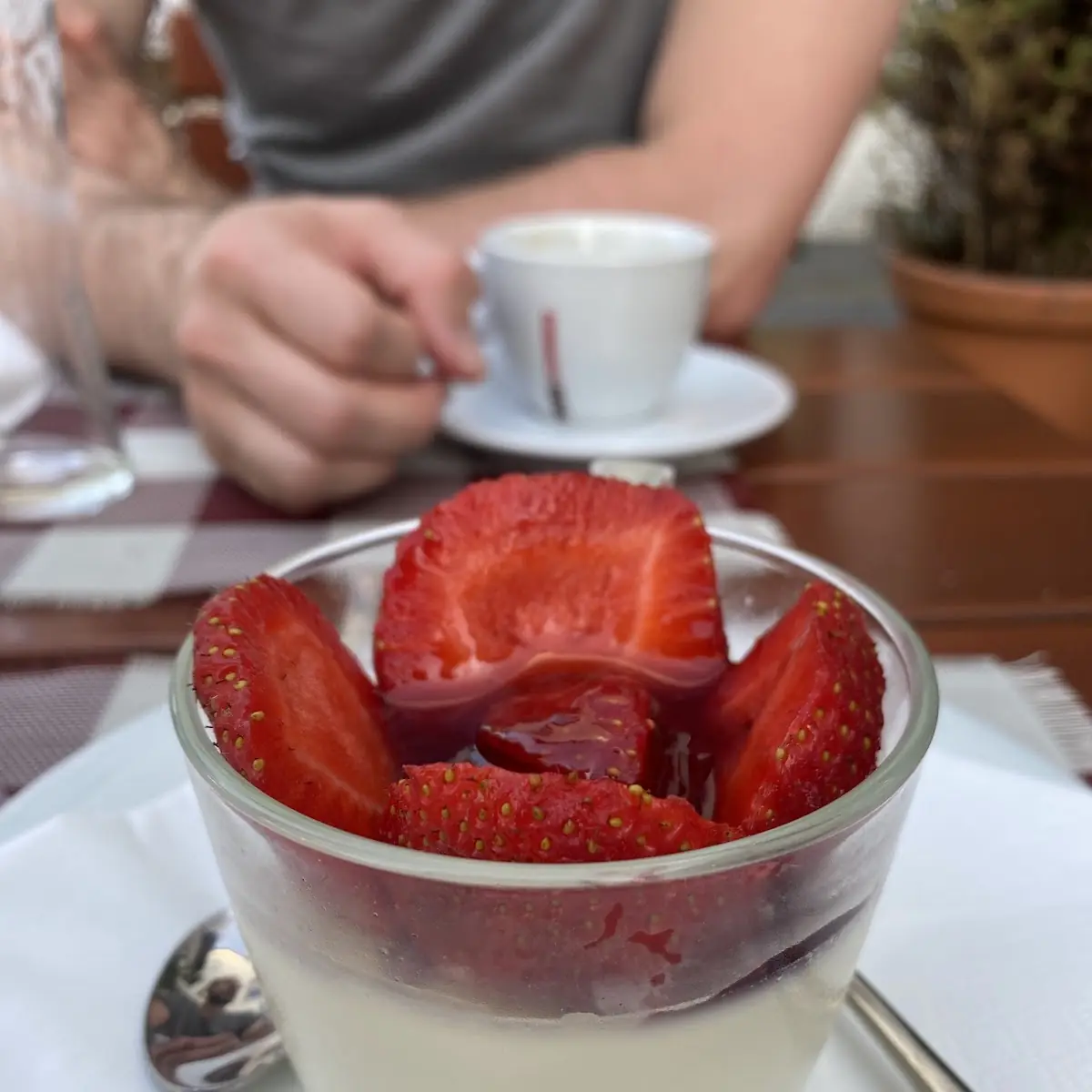 Panna Cotta