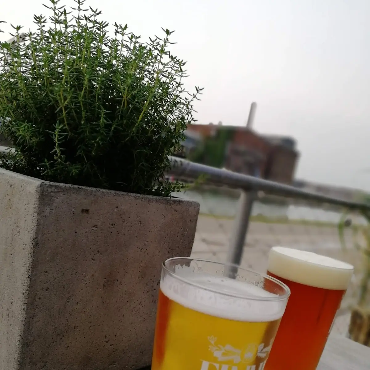 Finne Bier Hell