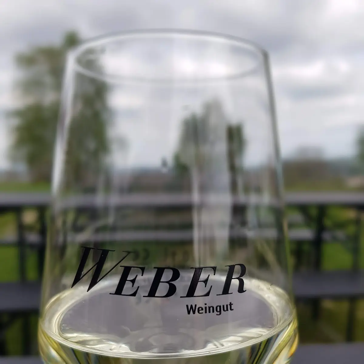 Scheurebe