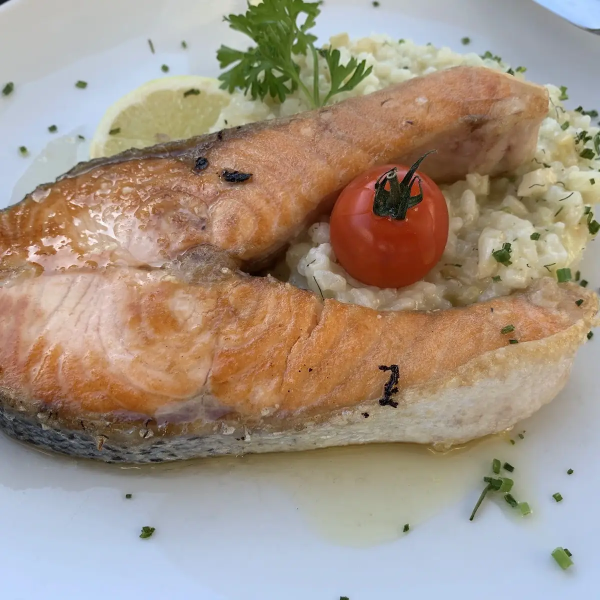 Fennel Risotto