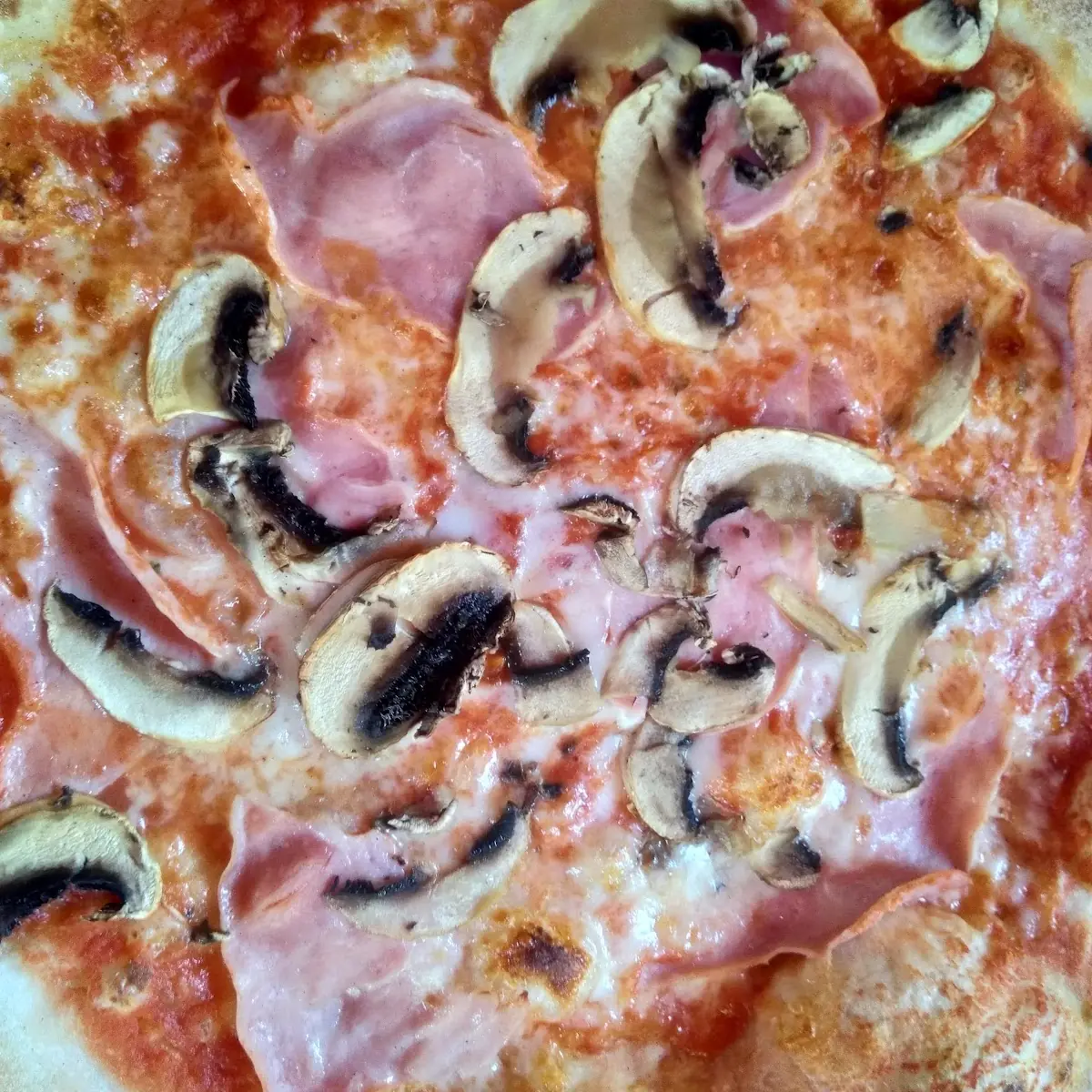 Pizza Capricciosa