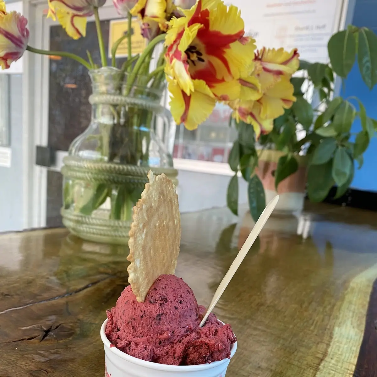 Cassis Eis
