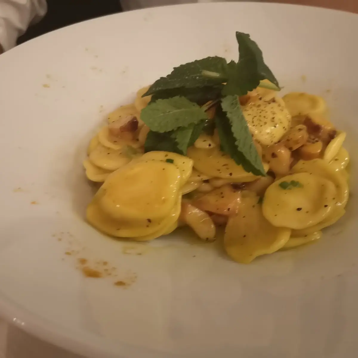 Cappelletti Con Polpo