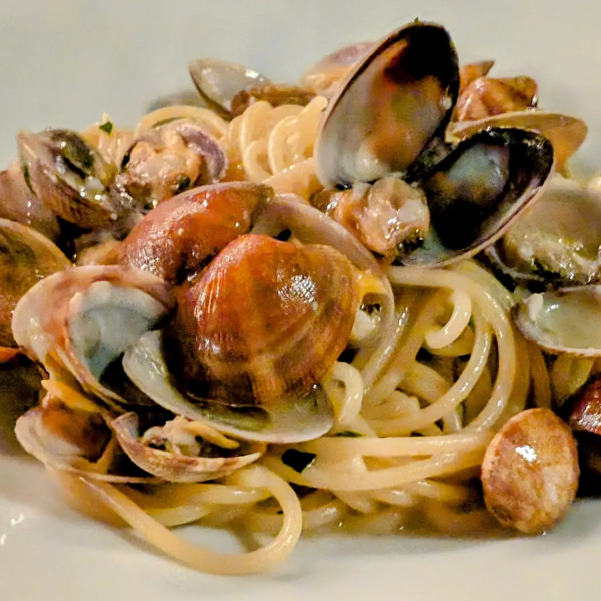 Spaghetti Vongole