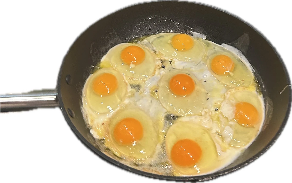 Egg