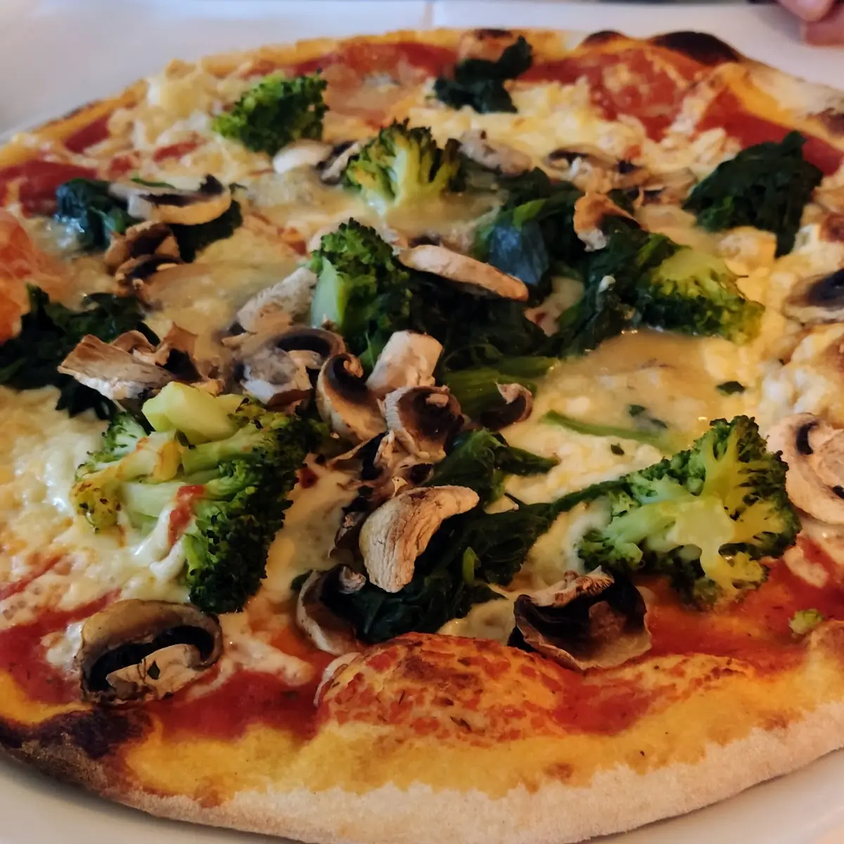 Broccoli Mozzarella