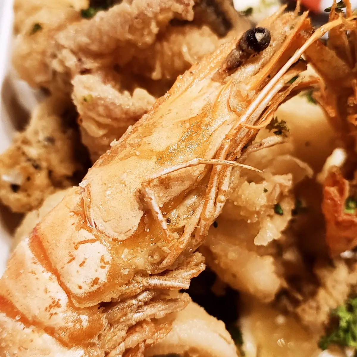 Meeresfrüchte, La Tasca Flamenca Bar de Tapas