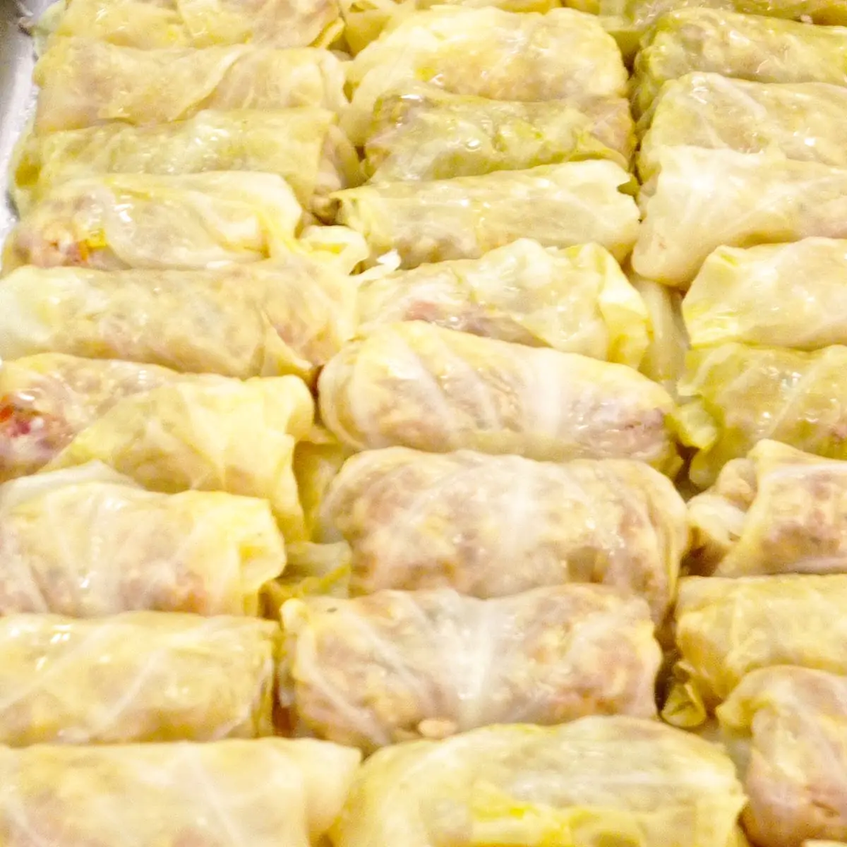 Cabbage Roll