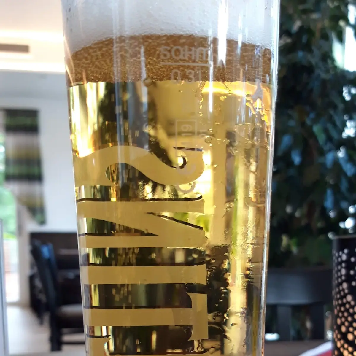 Bier