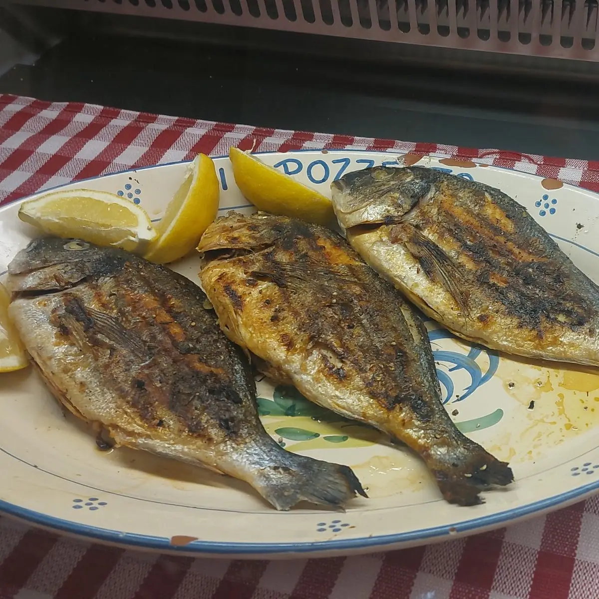 Fish