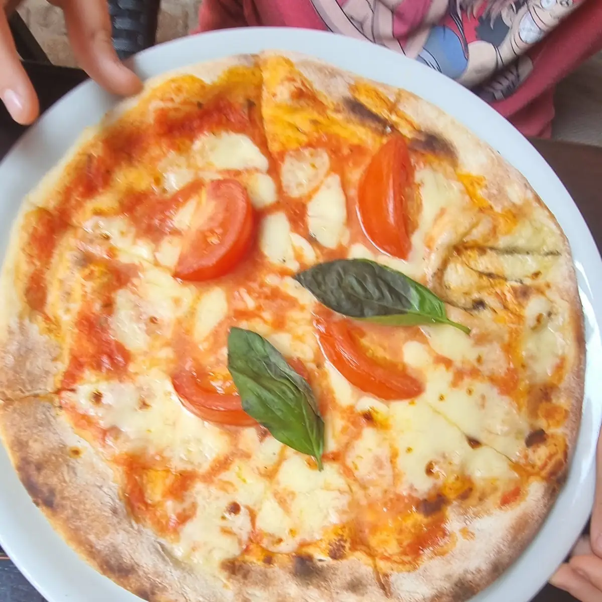 Pizza Mozarella