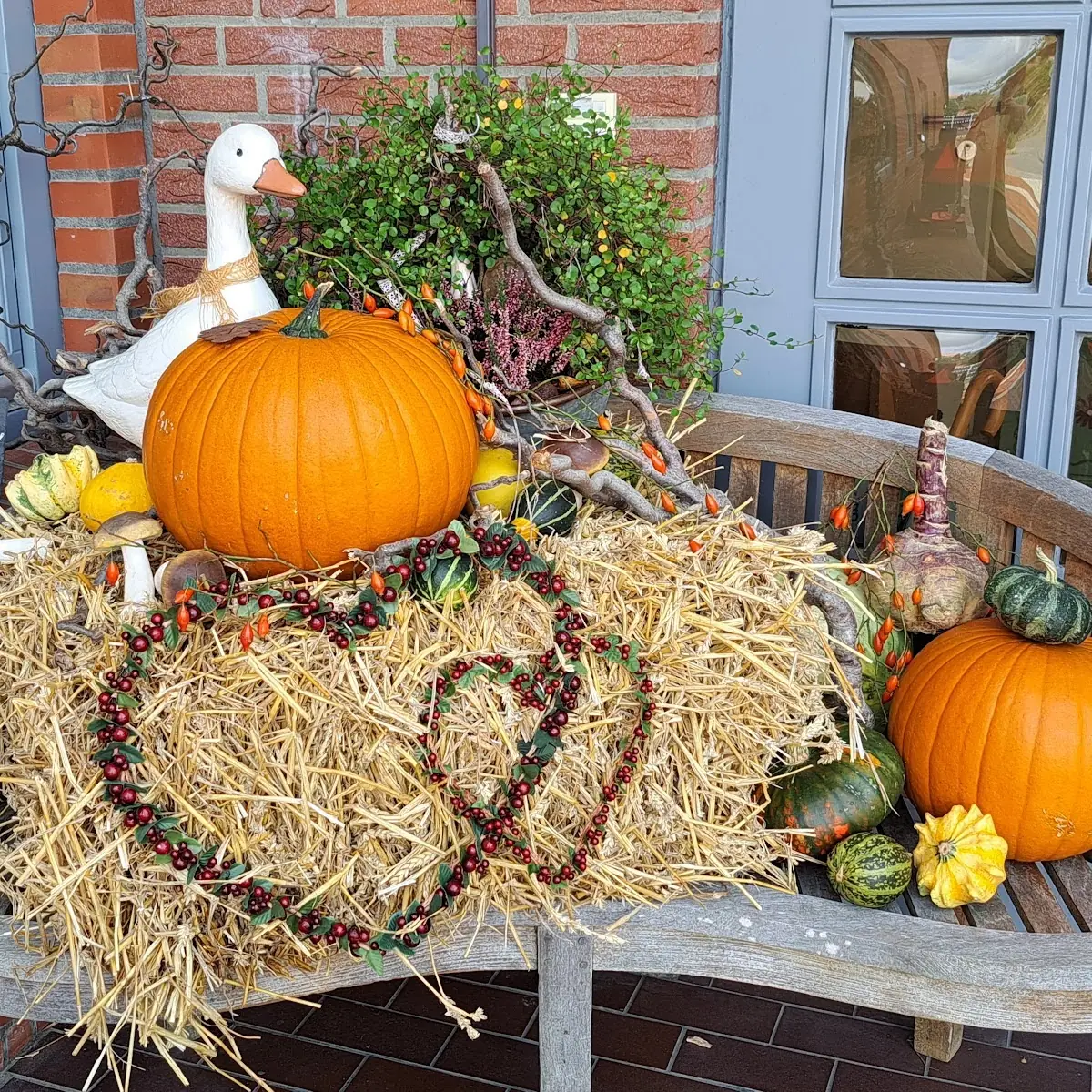 Pumpkin