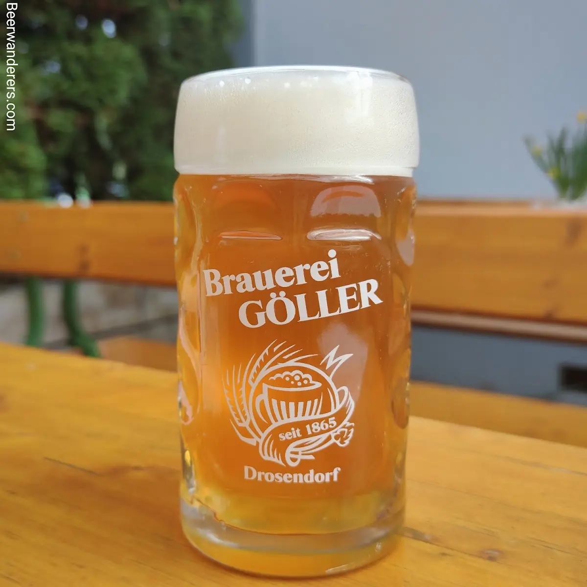 Bier