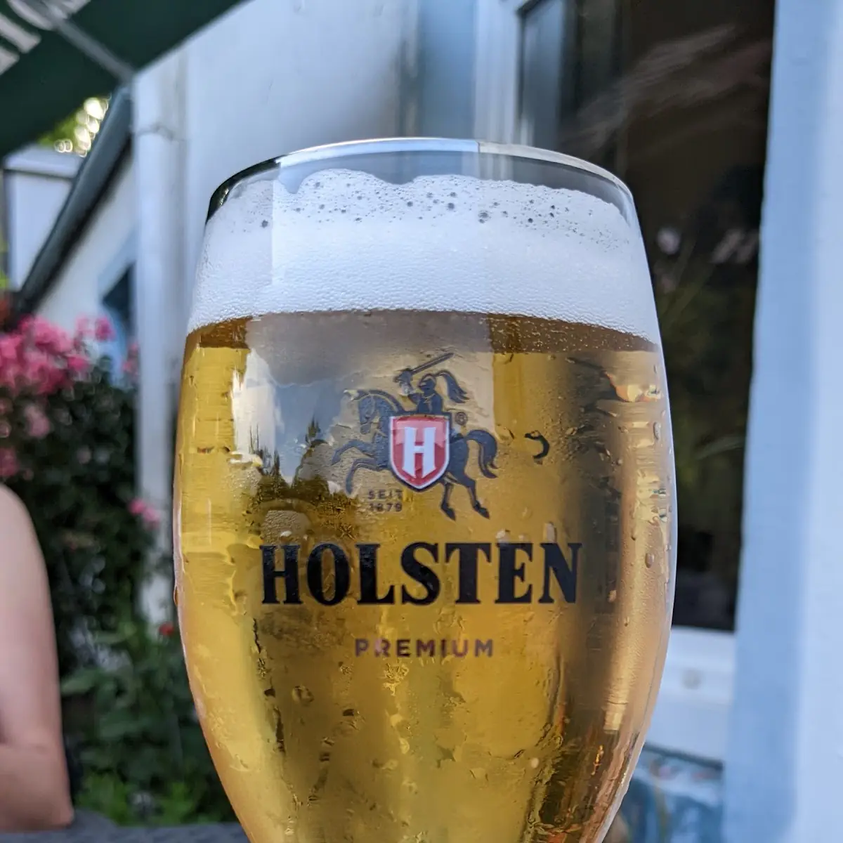 Bier