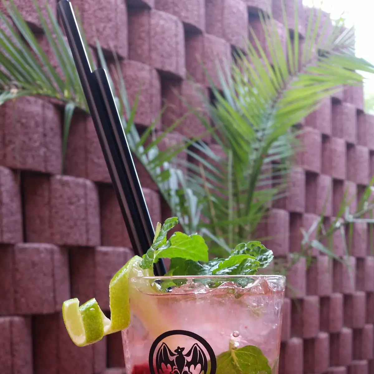 Raspberry Mojito