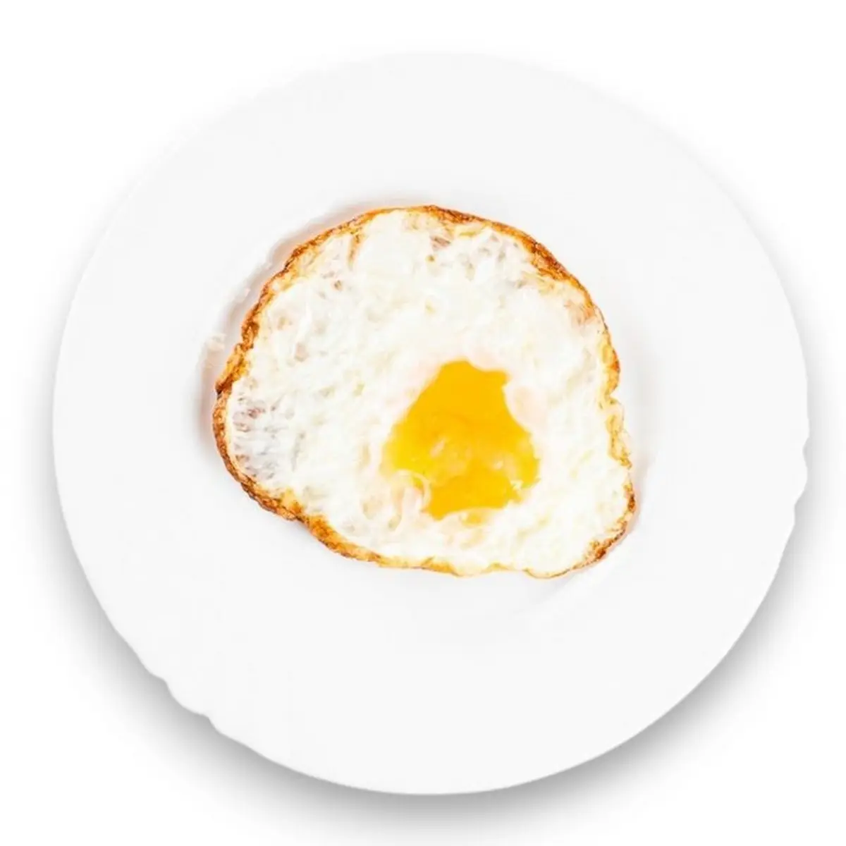 Fried Egg