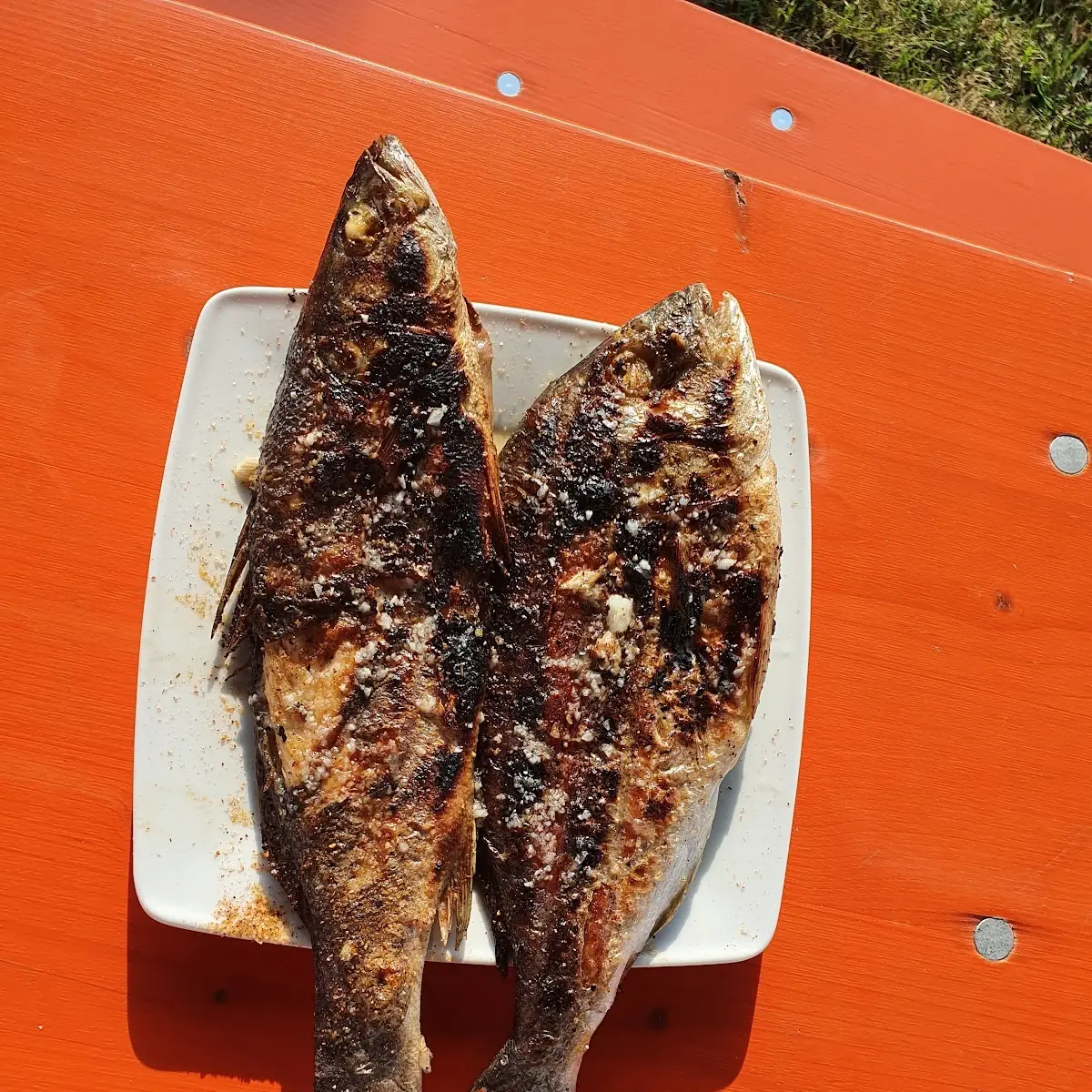 Fisch
