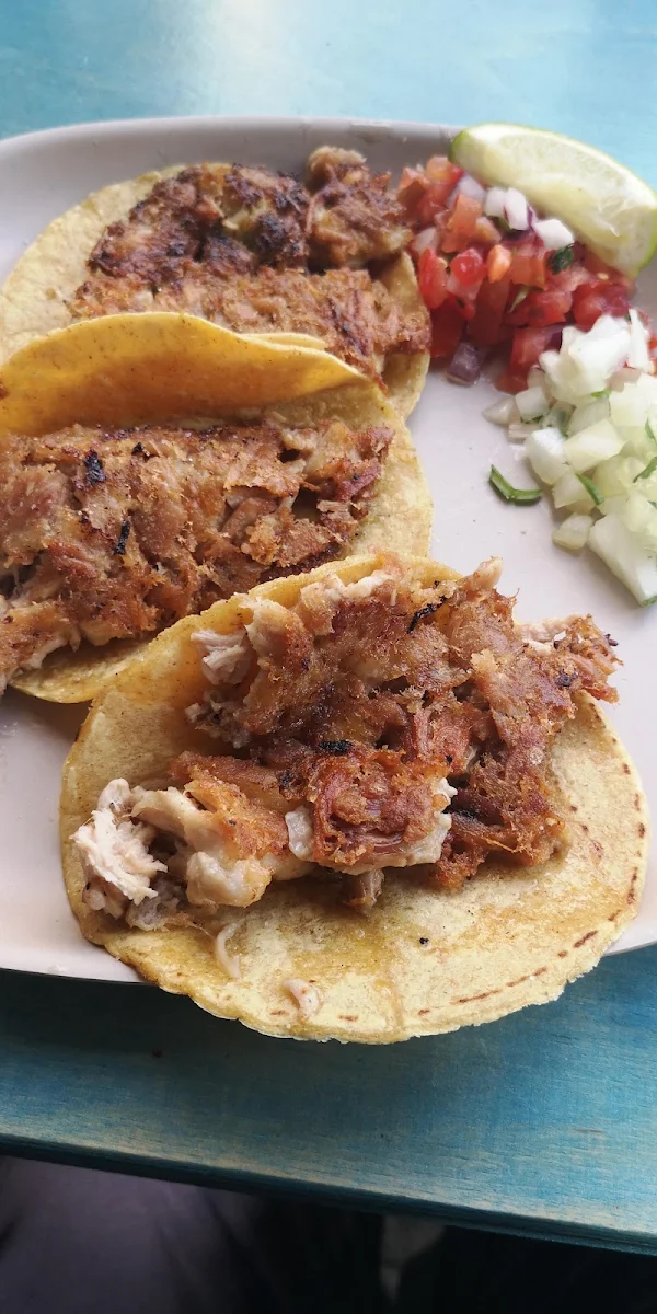 Taco de Carnitas