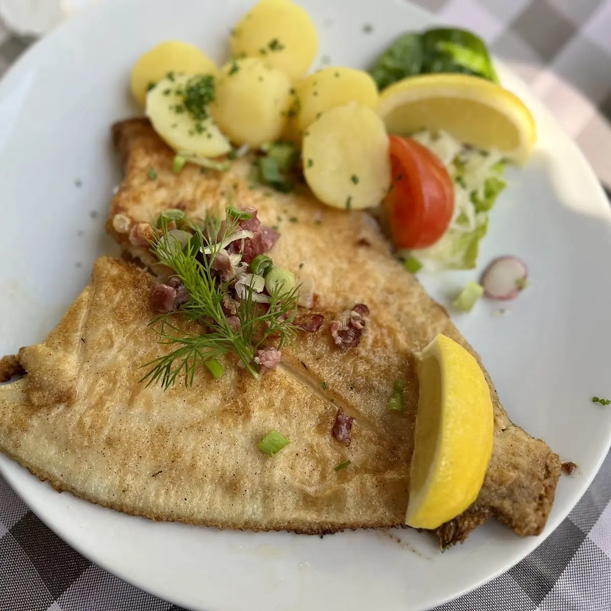 Maischolle